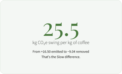 Carbon Calculator example