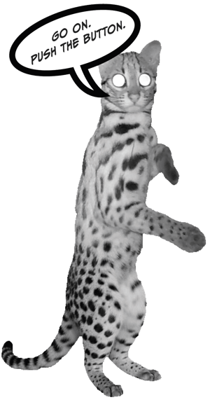 Leopard cat